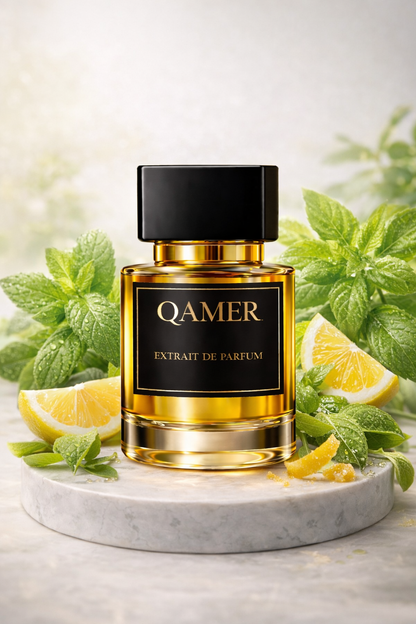 Qamer 227 T21