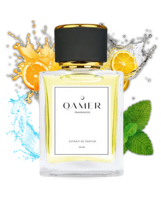 Bold Venture - Nishe